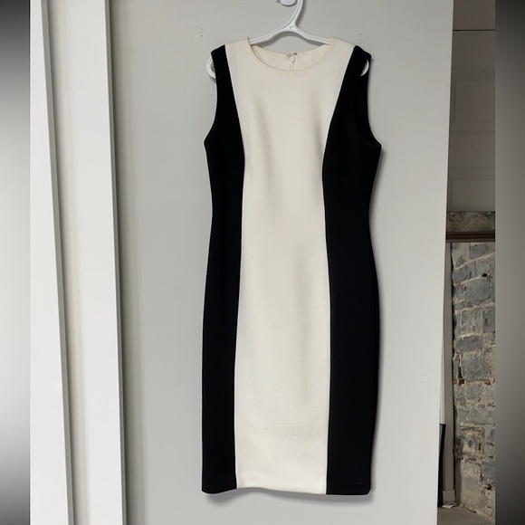Calvin Klein Sleeveless Colour-block Sheath Dress - Picture 4 of 8